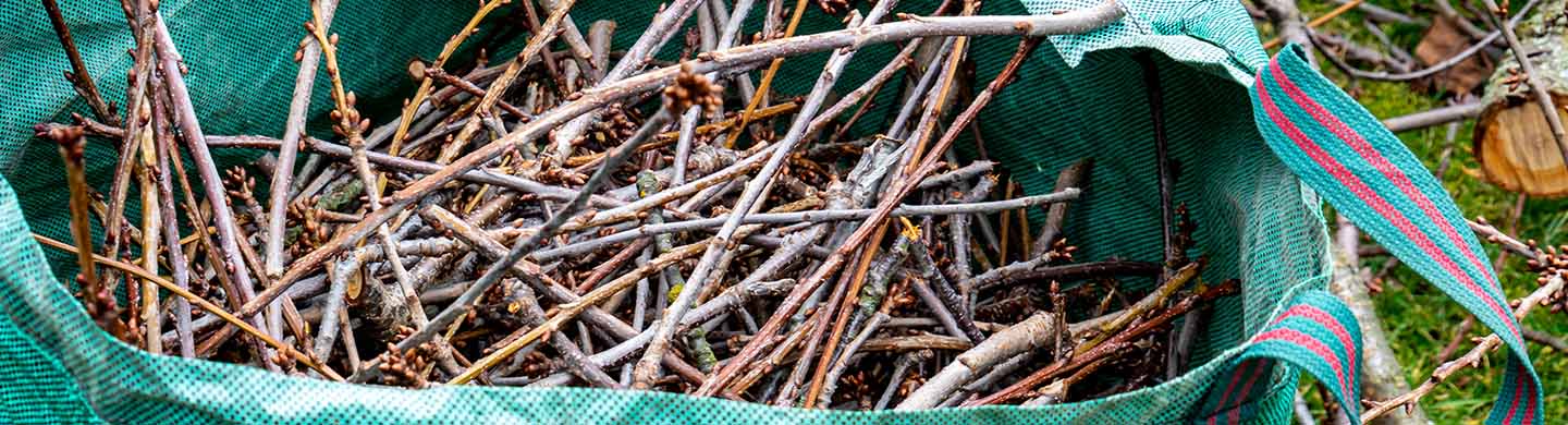 Pile of sticks and twigs in a tarp yard waste for disposal.