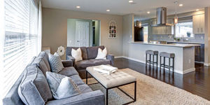 A Open-Space Concept Living Room and Kitchen.