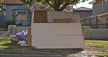 Mattresses leaning against a tree.