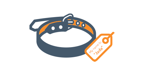 Illustration of pet collar with ID tag to be updated with new address and phone number after moving.