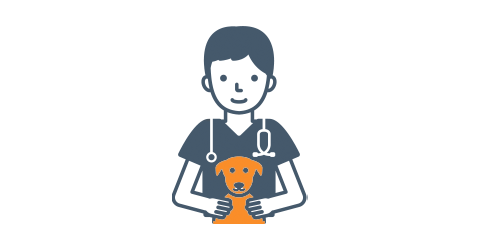 Illustration of male veterinarian holding small dog.