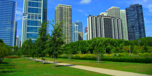 skyscrapers overlooking a green space in a major city
