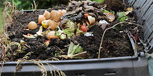 organic waste in compost bin