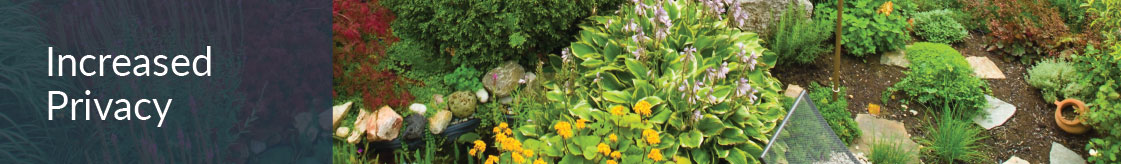 A Private Space Created With Hedges.