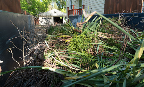 yard waste in dumpster