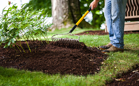 Man spreading fresh dirt on DIY garden.