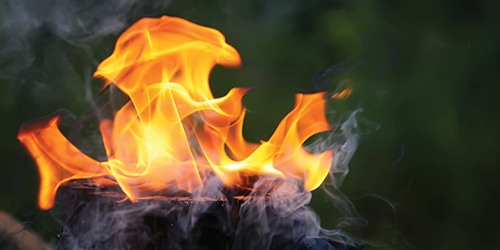  A Tree Stump On Fire
