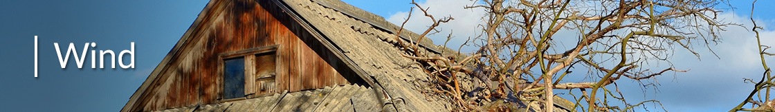 A Tree Knocked Onto a Roof After Heavy Winds.