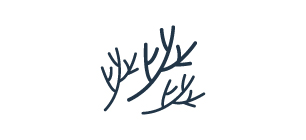 graphic of branches