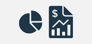 Icon of a pie graph next to an expense report.