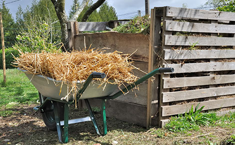 Wheel barrow full of brush next to compost pile.