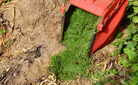 Grass clippings on the ground in yard for disposal or reuse.