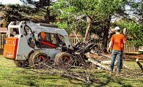 Landscaping company using heavy equipment to remove yard waste.