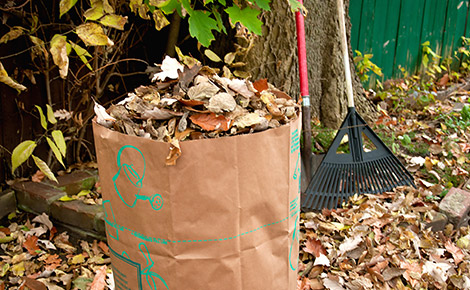 Yard waste bag full of leaves with a rake in the background.